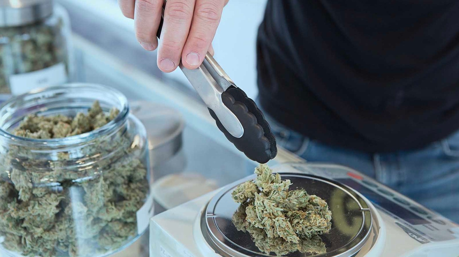 Essential Tools for Successful Cannabis Wholesale Operations